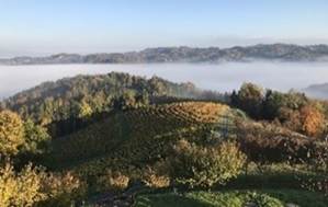 Ein Bild, das Landschaft, drauen, Berg, Natur enthlt.

Automatisch generierte Beschreibung
